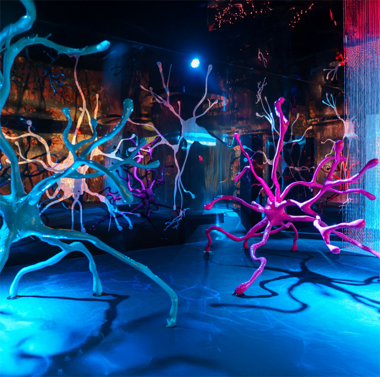 Ментальное здоровье